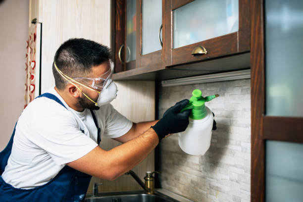 Best Local Pest Control Services  in Mccom, OH