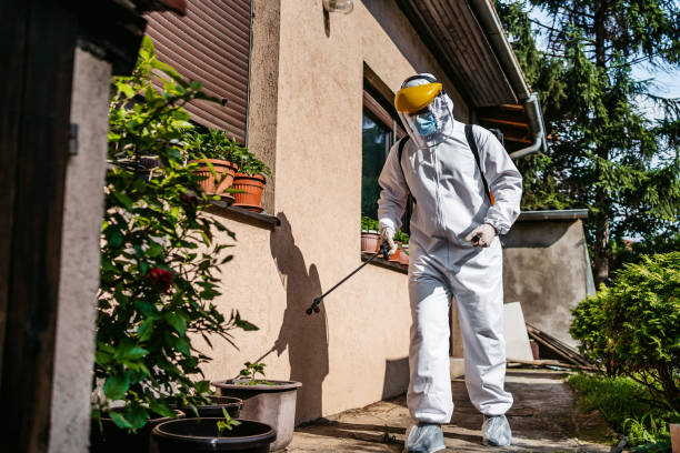 Best Exterminator Services  in Mccom, OH