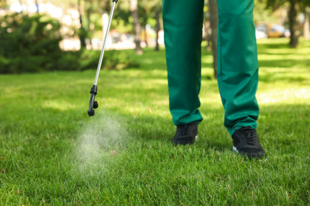 Best Pest Prevention Services  in Mccom, OH