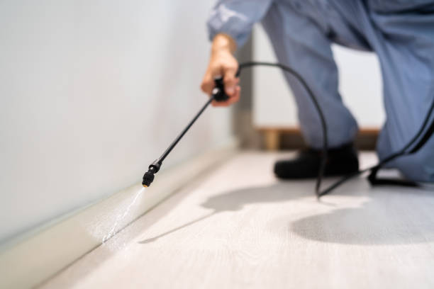 Pest Control for Restaurants in Mccom, OH