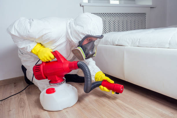 Best Affordable Pest Control Services  in Mccom, OH