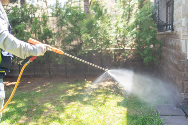 Best Wildlife Control Services  in Mccom, OH