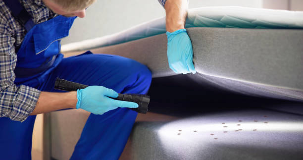 Best Pest Control Near Me  in Mccom, OH