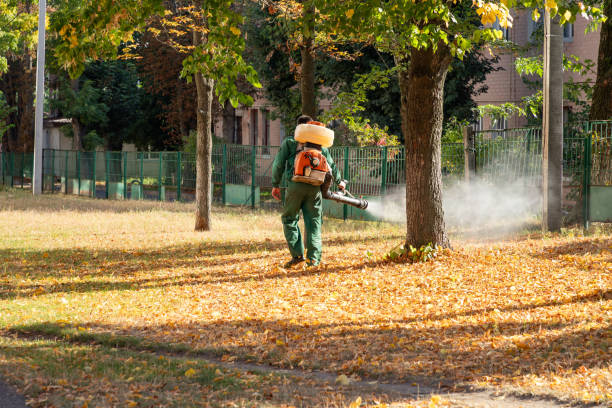 Best Termite Control Services  in Mccom, OH