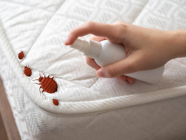 Best Commercial Pest Control Services  in Mccom, OH