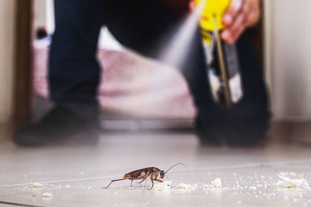 Best Bed Bug Extermination  in Mccom, OH