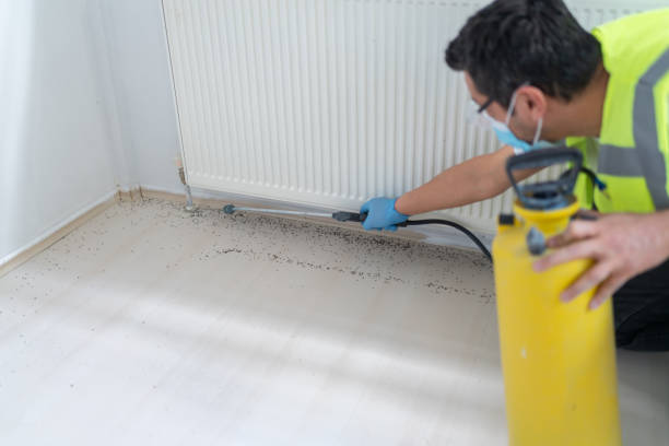 Best Affordable Pest Control Services  in Mccom, OH