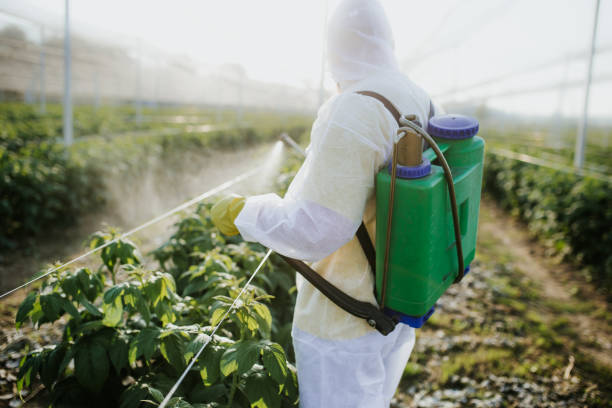 Best Best Pest Control Companies  in Mccom, OH